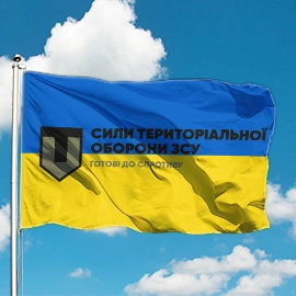 Бригади територіальної оборони України