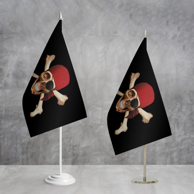 Пиратский флажок Весёлый Роджер