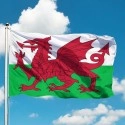 Флаг Уэльса